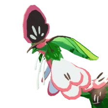 aholai