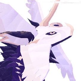 aereis